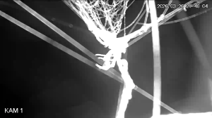 Caméra IP - Ukraine