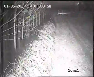 Caméra IP - Bulgaria