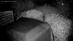 Caméra IP - Netherlands