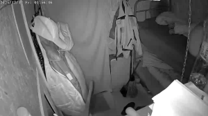 Caméra IP - Russische Föderation