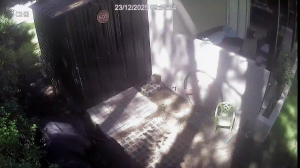 Caméra IP - Argentina