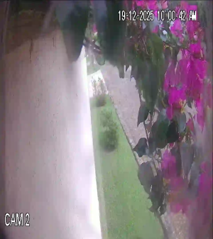 Caméra IP - Guatemala