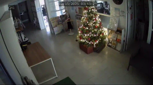 Caméra IP - South Korea