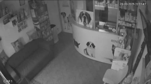 Caméra IP - Rumänien