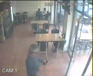 Caméra IP - Türkiye