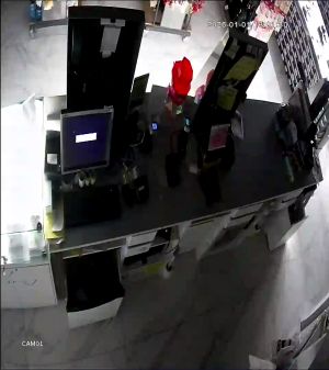 Caméra IP - Denmark