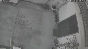 Caméra IP - Italien