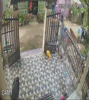 Caméra IP - Vietnam