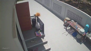 Caméra IP - Thailand