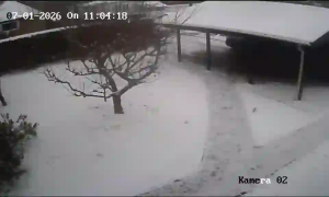 Caméra IP - Denmark