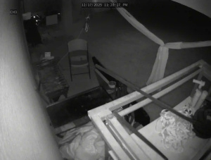 Caméra IP - United States of America