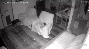 Caméra IP - États-Unis d'Amérique