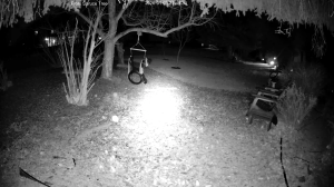 Caméra IP - United States of America