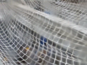 Caméra IP - Hong Kong