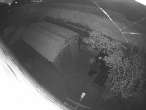 Caméra IP - United Kingdom