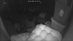 Caméra IP - United States of America