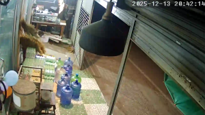 Caméra IP - Tailandia