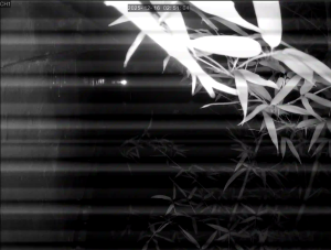 Caméra IP - República de Corea