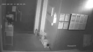 Caméra IP - South Korea