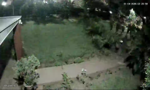 Caméra IP - Paraguay