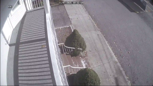 Caméra IP - États-Unis d'Amérique