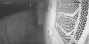 Caméra IP - Brasilien