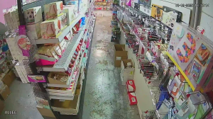 Caméra IP - Francia