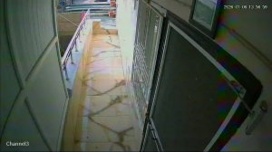 Caméra IP - Türkei