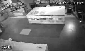 Caméra IP - Kazajistán