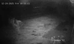 Caméra IP - Hongrie