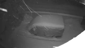 Caméra IP - Russische Föderation