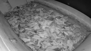 Caméra IP - Allemagne