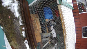 Caméra IP - États-Unis d'Amérique