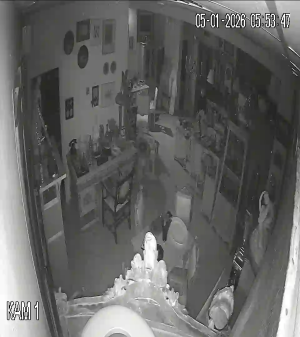 Caméra IP - Russian Federation