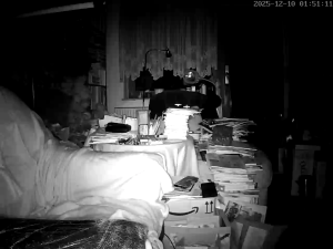 Caméra IP - Germany