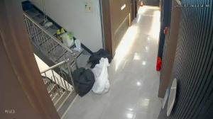 Caméra IP - South Korea