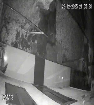 Caméra IP - Vietnam