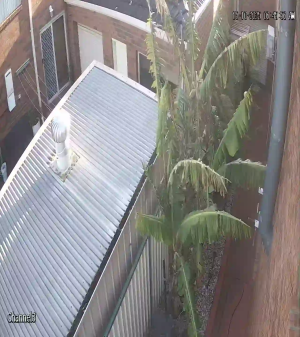 Caméra IP - Australie
