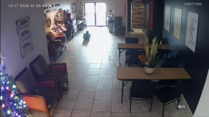 Caméra IP - États-Unis d'Amérique