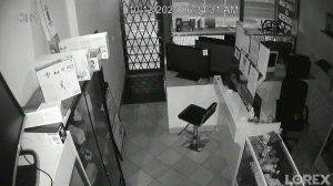 Caméra IP - Kanada