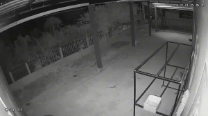 Caméra IP - Thailand