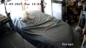 Caméra IP - United States of America