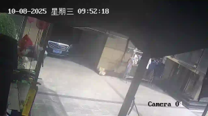 Caméra IP - China