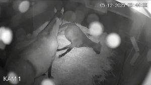 Caméra IP - Allemagne