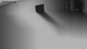 Caméra IP - Russian Federation