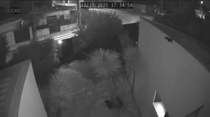 Caméra IP - Portugal