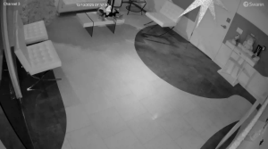 Caméra IP - United States of America