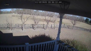 Caméra IP - United States of America