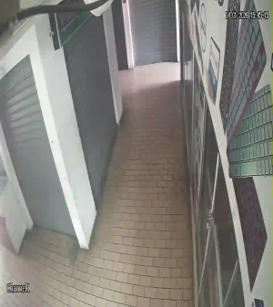 Caméra IP - Bolivien