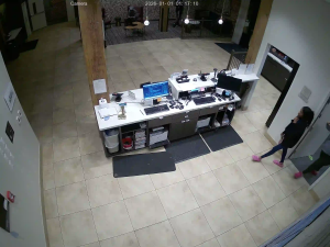 Caméra IP - Vereinigte Staaten von Amerika